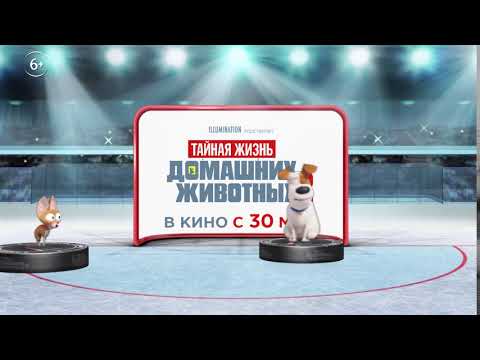 Тайная жизнь домашних животных 2 | В кино с 30 мая