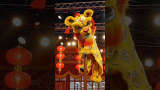 barongsai ngamen😲#shorts #funny #comedy #fypシ゚viral