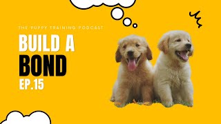 Building a Bond | Episode 15 by BAXTER & Bella The Online Puppy School! 465 views 7 months ago 18 minutes