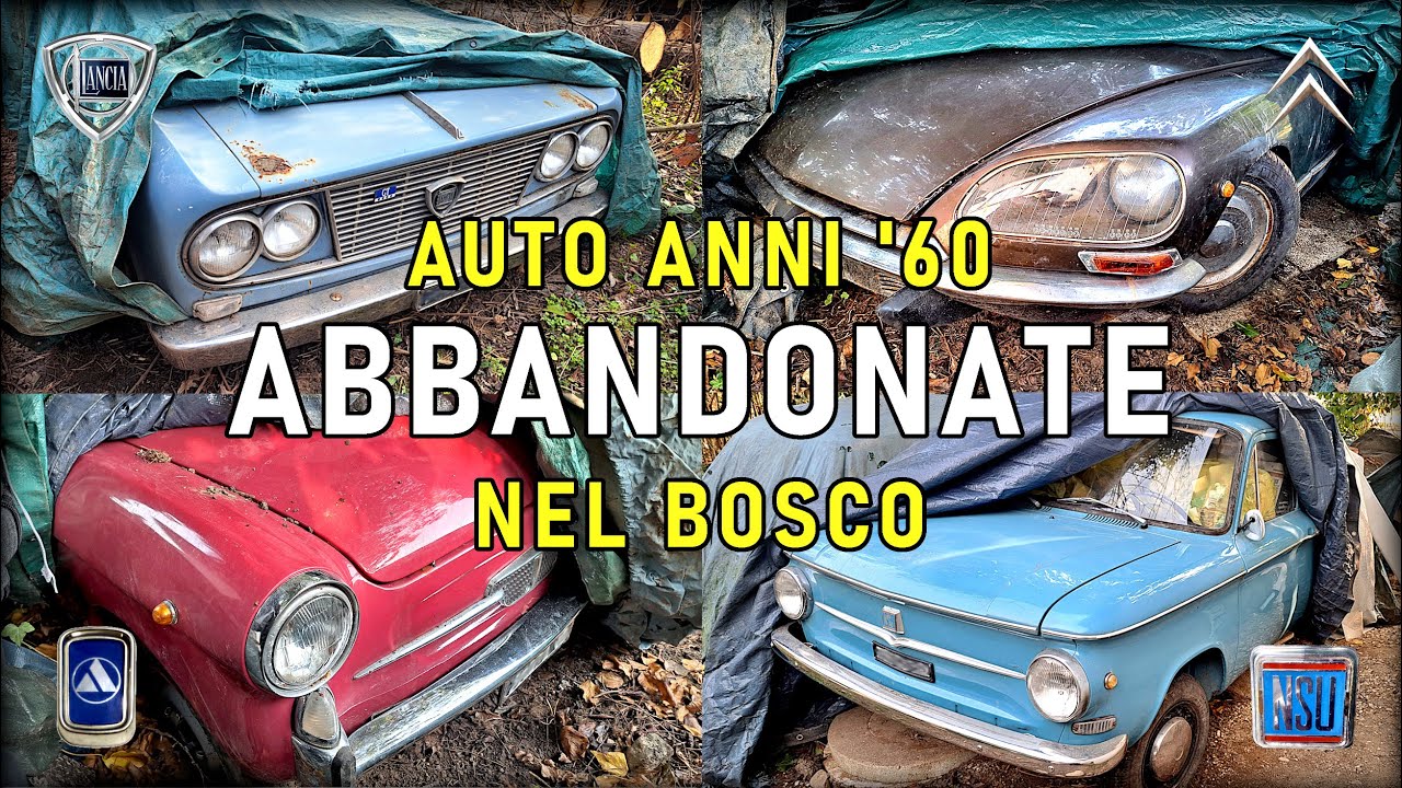 INCREDIBILE RITROVAMENTO! AUTO CLASSICHE NASCOSTE NEL BOSCO RIEMERGONO DOPO PIÙ DI 20 ANNI