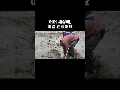 남편 낚시 응원하는 아내 #shorts