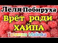 Деревенский дневник очень многодетной мамы /Мать-героиня /Врет ради хайпа/Обзор /