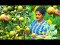 🍑Fragrant rose guava big harvest in backyard and prepared sweets and spicy|village kitchen srilanka