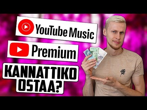 Video: Ovatko pähkinänsärkijät rahan arvoisia?