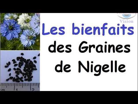 Vidéo: 10 Avantages Puissants Des Graines De Nigelle Soutenues Par La Science