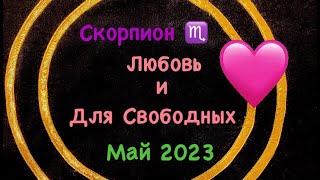 Скорпион Любовь и Для Свободных Май 2023