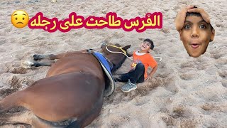 مفاجئه لسعد 😍🐎.(توقعاتكم؟)