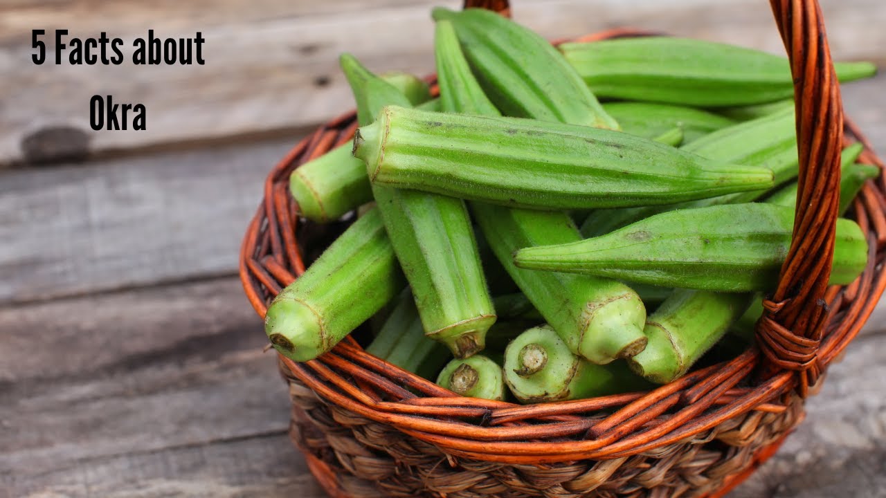 5 Facts about Okra YouTube