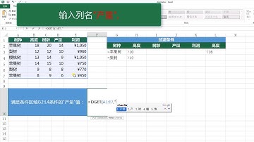 无废话计算机技术之 Excel篇-DGET函数