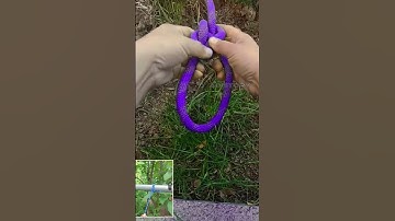 Strong loop knot anyone can tie  #ropetrick #knotting #outdoorskills