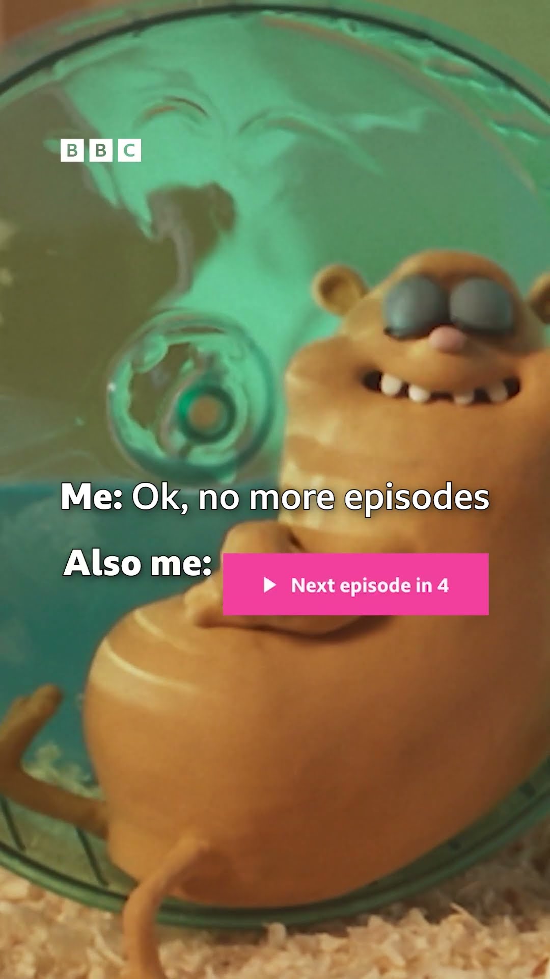 This hamster can’t stop watching Doctor Who