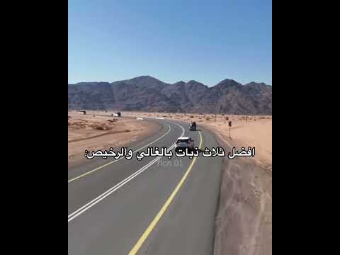 افضل ذبات الغالي و الرخيص  اكسبلور اوبلز فالكونز قراند فالكونز ارك سيرفايفل 