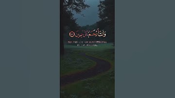 قران كريم #duet #الرحمن #اكسبلور #المصحف #لايك #القزابري #راحة_نفسية #المراه #دويتو #العظماء