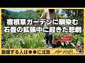ロックガーデンの通路｜オオスズメバチ襲来！石畳の拡張中に養蜂箱が襲われる緊急事態。