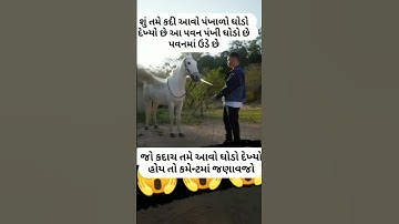 || Devayat Khavad || Gujarati Status || દેવાયત ખવડ || #shorts #dayro