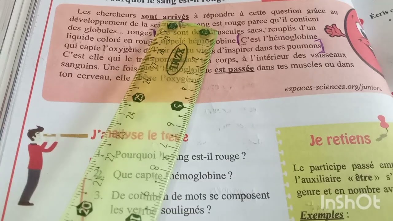 صفحة 88 و 89 من الكتاب المدرسي لتلاميذ السنة الأولى متوسط في مادة اللغة الفرنسية Orthographe L'accor