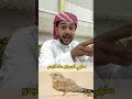 ملهي الرعيان طائر يكرهه البدو لانه يلهيهم عن رعي اغنامهم ملهي الرعيان طائر يكرهه البدو لانه يلهيهم عن رعي اغنامهم