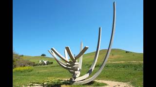 Cal Poly Architecture Graveyard