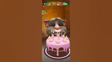 Cat Funny Videos Cat Funny Youtube Shorts Cats Status For Watsapp Shorts 