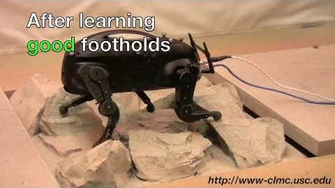 The latest version of the LittleDog Robot