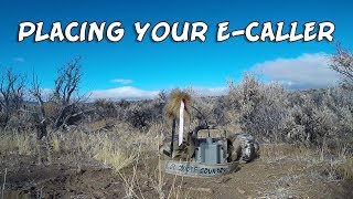 Placing your electronic caller