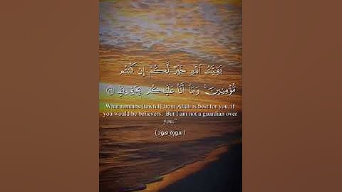 تلاوة عطرة من سورة هود بصوت القارئ يحيى رشاد #قرآن #قرآن_كريم #قران #قرآن_بصوت_جميل #quran #tiktok
