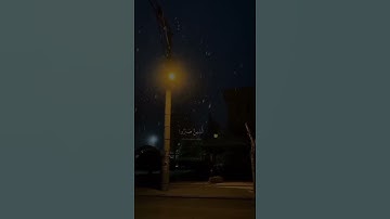 الَّذِينَ صَبَرُوا وَعَلَىٰ رَبِّهِمْ يَتَوَكَّلُونَ | سورة النحل | حالات وات ساب دينية | ارح سمعك
