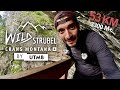 Wildstrubel by utmb 2023  wild 50