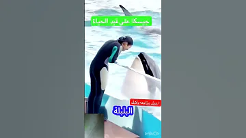 شوف كده ايه اللي حصل 