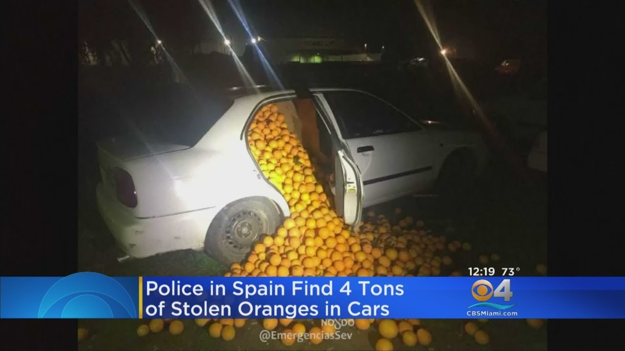 9,000 Pounds Of Oranges Found In Cars After HighSpeed Chase YouTube