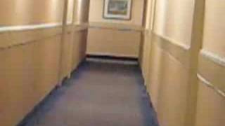 Finding Food In Memphis