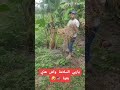دويتو الباله   اكسبلور نباتي البدية  ضحك طبخ ترند البطاطا تيك توك
