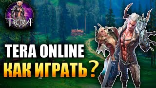 Закрытие Tera Online - КАК ТЕПЕРЬ ИГРАТЬ?