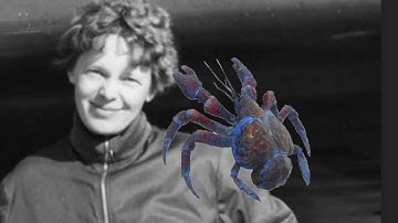 EPIC RAP BATTLES OF HISTORY - AMELIA EARHART VS. COCONUT CRAB
