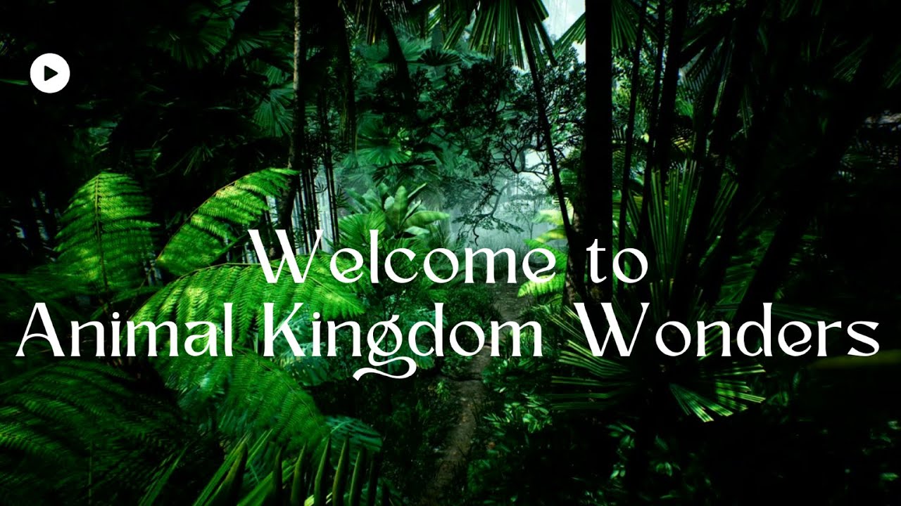 Welcome to the Animal Kingdom Wonders channel        
