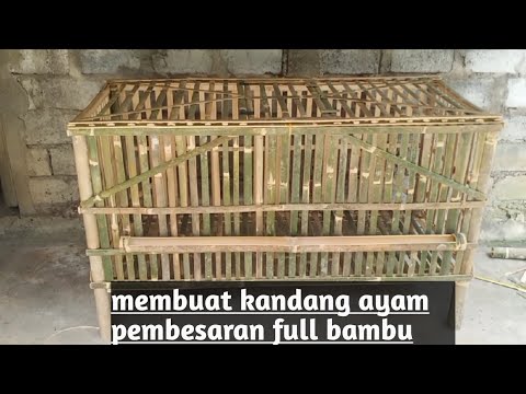 Cara Membuat Kandang Ayam Dari Bambu Semua