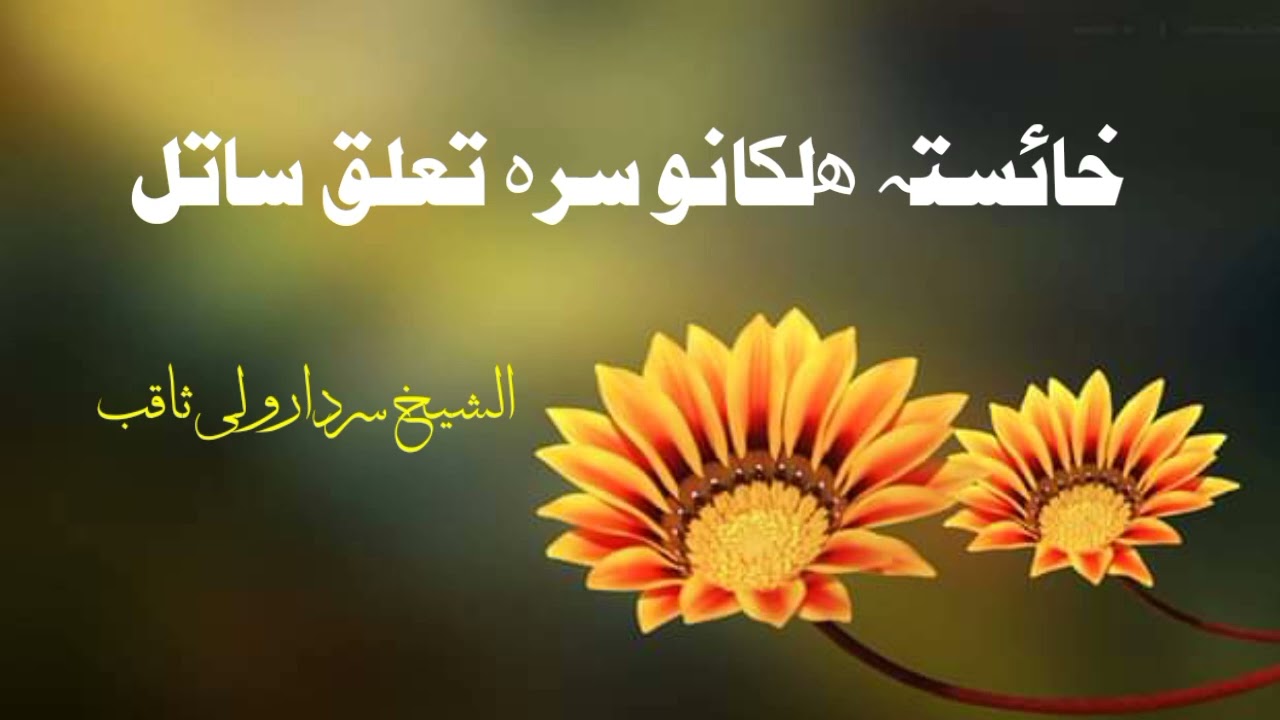 Khaista Halakano Sara Taluq Satal | ښایسته هلکانو سره تعلق ساتل | Bayan by Sheikh sardarwali