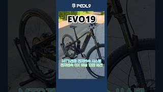 페들나인 Mtb 전기자전거 이보19 Evo19