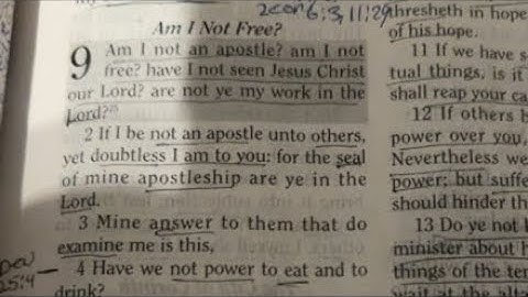 1Cor Ch8 AM I NOT FREE📖Study join us Day25 #lostchildrenofisrael12tribes #FeastOfDedication