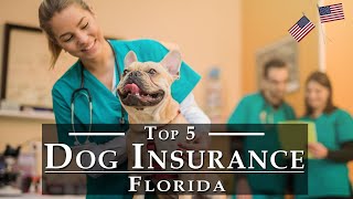 Best Pet Insurance for Dogs Florida (Top 5) - Dog Insurance Florida [Detail Review]