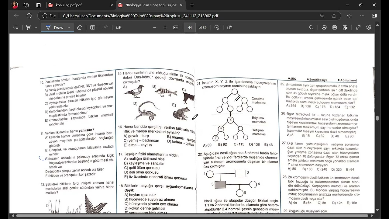 Taim sınaq toplusu ümumi sınaq 2