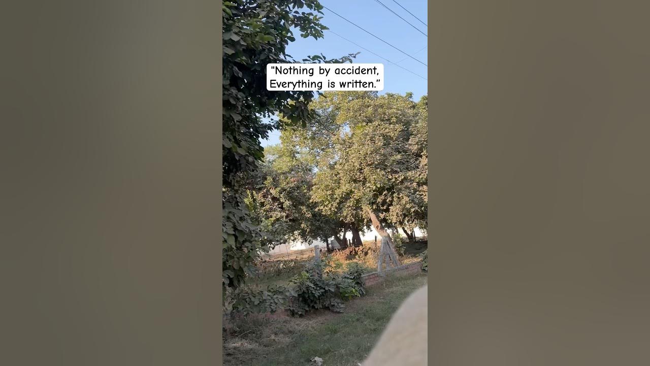 Nothing By Accident Everything Is Written facts fact respect nothing-by-accident-everything-is-written-facts-fact-respect