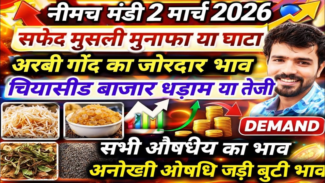 नीमच मंडी भाव। चिया, चिरायता कालमेघ, गोंद, औषधी जड़ी बूटियों का भाव। Neemuch Mandi bhav chiya seed 