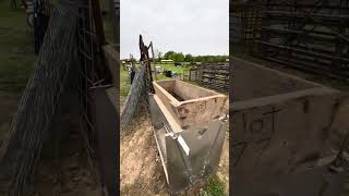 Hellings farm auction and consignment