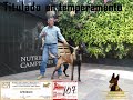 Prueba de Temperamento de un pastor belga malinois El Gran Genaro