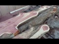 Cutting Texas Cedar Log with Homemade Sawmill Cutting Texas Cedar Log with Homemade Sawmill