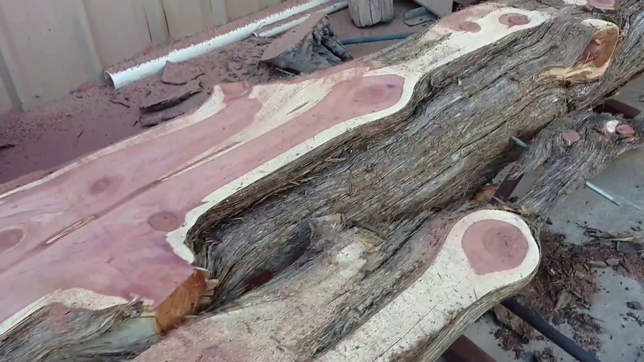 Cutting Texas Cedar Log with Homemade Sawmill - YouTube