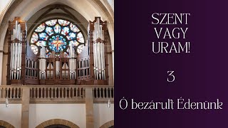 SZVU 3 Ó bezárult Édenünk #advent #hauptwerk #deutschland #landau