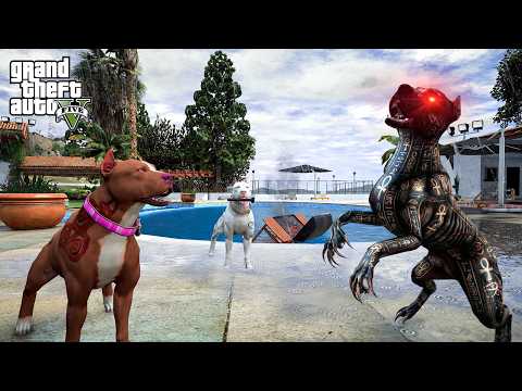 TERMİNATÖR ANUBİS MODUNU AÇTI VE NOKTAYI KOYDU! - GTA 5 PİTBULL'UN HAYATI