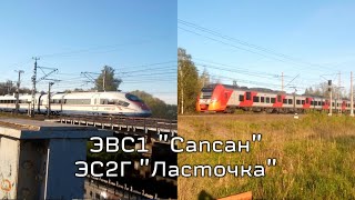 ЭВС1 Сапсан и ЭС2Г Ласточка на станции Колпино